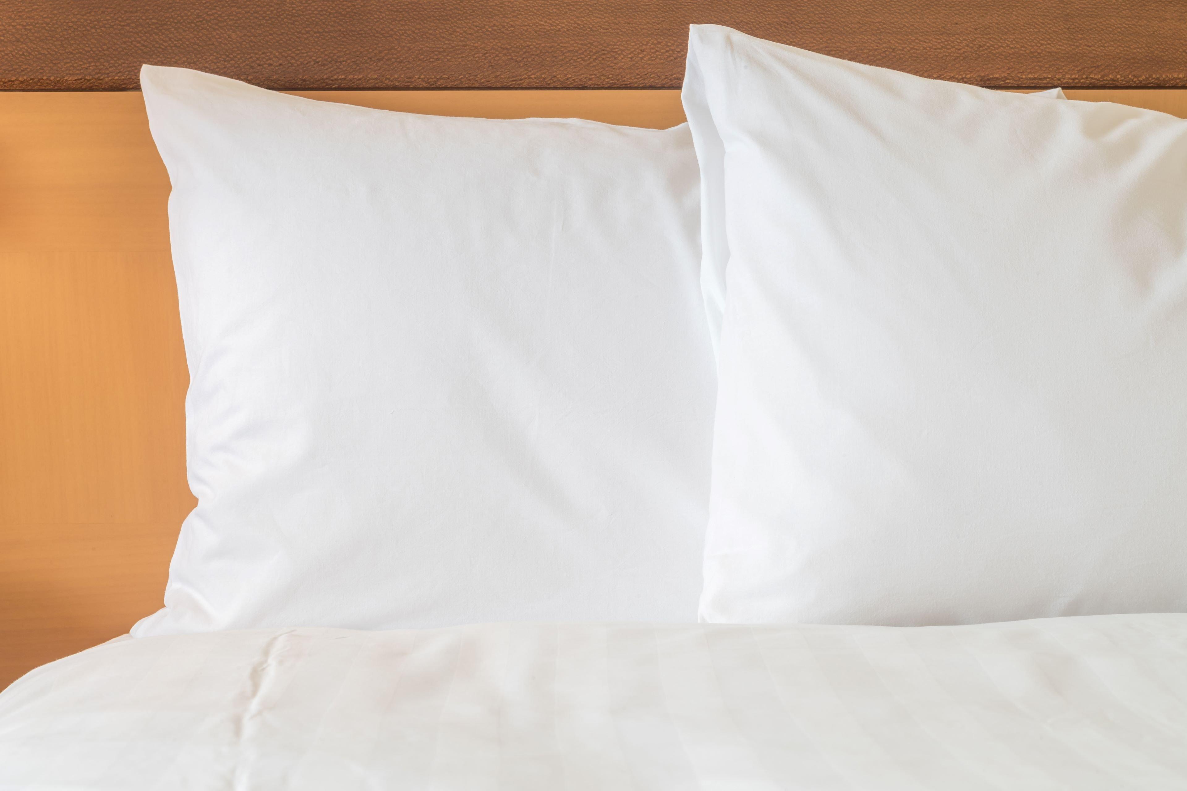 Holiday Inn Express Hotel & Suites Minot South By Ihg Extérieur photo